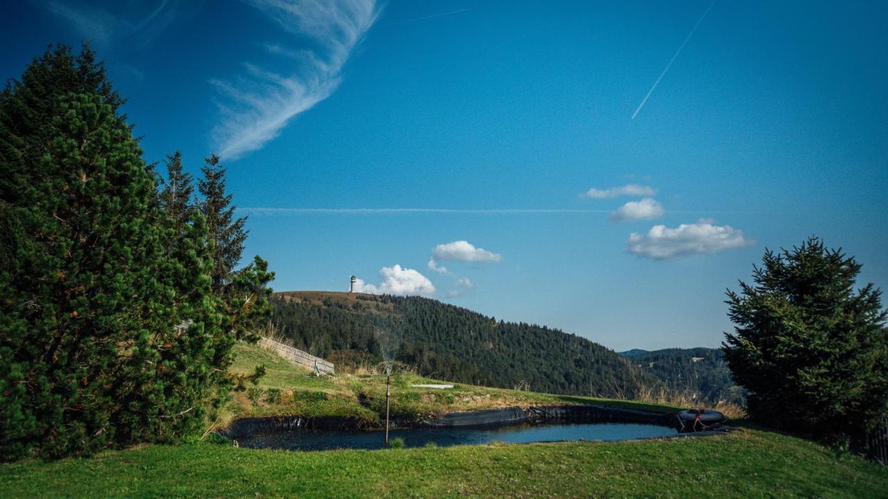 Berggasthof Zur Todtnauer Huette Feldberg  Exterior photo